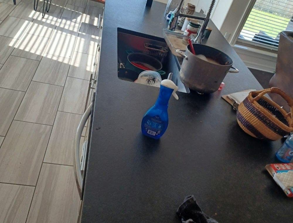 Kitchen island, before Ladybug cleaned it